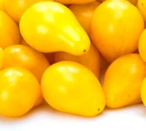 yellow pear tomato heirloom seeds – open pollinated – b216 (80 seeds, or 1/4 gram)