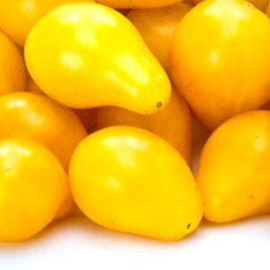 Yellow Pear Tomato Heirloom Seeds - Open Pollinated - B216 (80 Seeds, or 1/4 Gram)