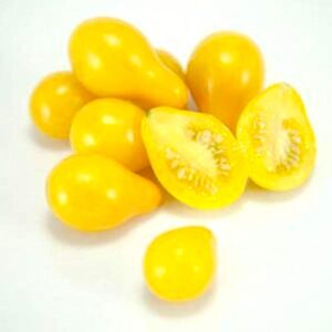 Yellow Pear Tomato Heirloom Seeds - Open Pollinated - B216 (80 Seeds, or 1/4 Gram)