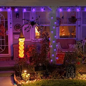 Solar Christmas Lights Outdoor Waterproof, 2 Pack 60 LED 36.5 FT Each, Crystal Globe Lights for Garden Yard Wedding Christmas Party Decor (Purple)