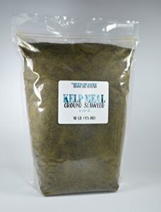 10 pounds organic kelp meal 1-0-2 natural norwegian kelp seaweed fertilizer
