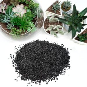 TerraGreen Creations - Horticultural Charcoal, Activated Hardwood Charcoal for Soil, Terrarium Supplies, Great for Conditioning Bonsai Soil, Succulent Soil, Indoor Plant Potting Soil (1qt.)