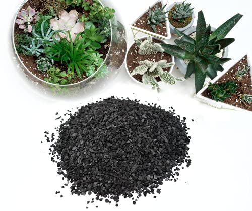 TerraGreen Creations - Horticultural Charcoal, Activated Hardwood Charcoal for Soil, Terrarium Supplies, Great for Conditioning Bonsai Soil, Succulent Soil, Indoor Plant Potting Soil (1qt.)