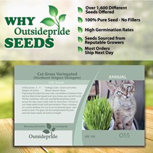 Outsidepride Hordeum Vulgare Cat Grass Variegated Ornamental Grass for Windowsill or Garden Bed - 500 Seeds
