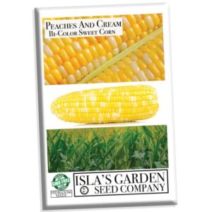“peaches and cream” bi-color sweet corn seeds for planting, 25+ seeds per packet, (isla’s garden seeds), non gmo & heirloom seeds, botanical name: zea mays great home garden gift