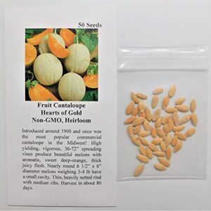 David's Garden Seeds Fruit Cantaloupe Hearts of Gold 9837 (Orange) 50 Non-GMO, Heirloom Seeds
