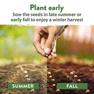 12 Winter Vegetable Seeds - Heirloom, Non-GMO Fall & Winter Vegetable Seeds for Planting Home Garden: Bean, Beet, Broccoli, Cabbage, Carrot, Cauliflower, Kale, Parsnip, Squash, Chard & More