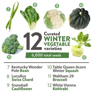 12 Winter Vegetable Seeds - Heirloom, Non-GMO Fall & Winter Vegetable Seeds for Planting Home Garden: Bean, Beet, Broccoli, Cabbage, Carrot, Cauliflower, Kale, Parsnip, Squash, Chard & More