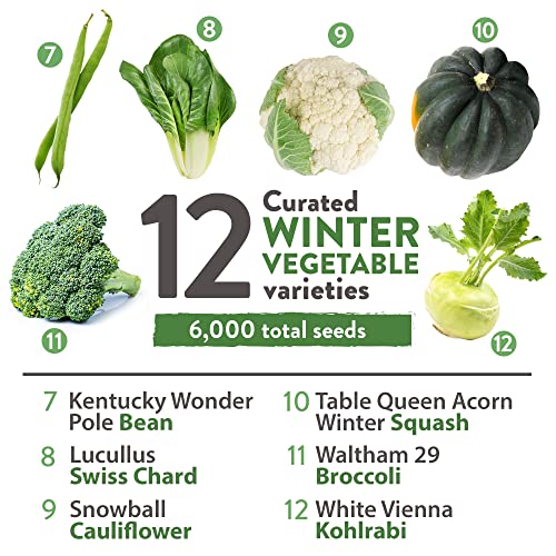 12 Winter Vegetable Seeds - Heirloom, Non-GMO Fall & Winter Vegetable Seeds for Planting Home Garden: Bean, Beet, Broccoli, Cabbage, Carrot, Cauliflower, Kale, Parsnip, Squash, Chard & More