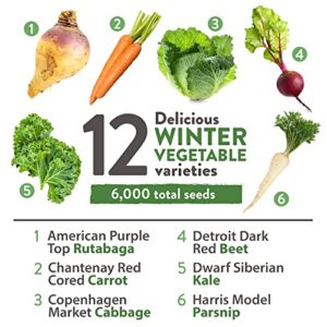 12 Winter Vegetable Seeds - Heirloom, Non-GMO Fall & Winter Vegetable Seeds for Planting Home Garden: Bean, Beet, Broccoli, Cabbage, Carrot, Cauliflower, Kale, Parsnip, Squash, Chard & More