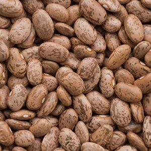 organic pinto beans – 4 oz ~304 seeds – non-gmo – farm & vegetable garden – bulk emergency supply storage