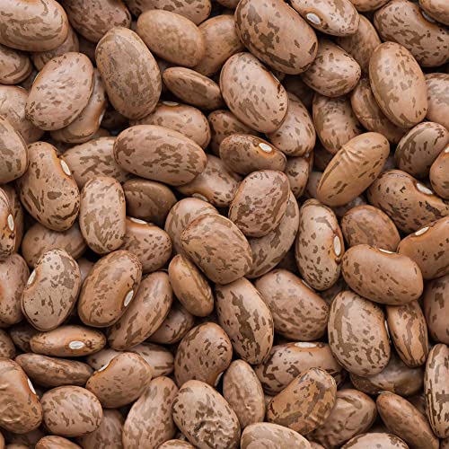 Organic Pinto Beans - 4 Oz ~304 Seeds - Non-GMO - Farm & Vegetable Garden - Bulk Emergency Supply Storage