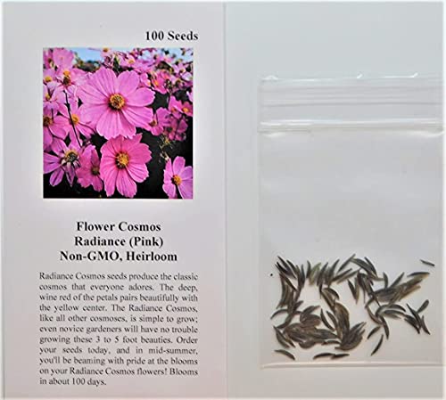 David's Garden Seeds Flower Cosmos Radiance 5455 (Pink) 100 Non-GMO, Heirloom Seeds