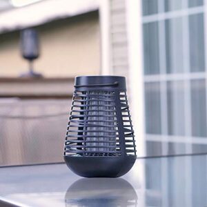 PIC Portable Solar Insect Killer Torch (FLPT), Bug Zapper and Flame Accent Light, Kills Bugs on Contact