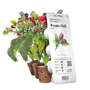click and grow smart garden purple chili plant pods, 3-pack