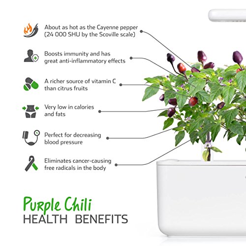 Click and Grow Smart Garden Purple Chili Plant Pods, 3-Pack