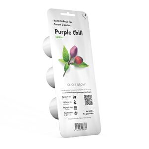 Click and Grow Smart Garden Purple Chili Plant Pods, 3-Pack