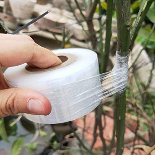 Happyyami Roll Grafting Tape Stretchable Garden Grafting Tape Plants Repair Tapes Self- Adhesive Clear Floristry Film for Garden Nursery Fruit Trees Garden Budding Tree 120m