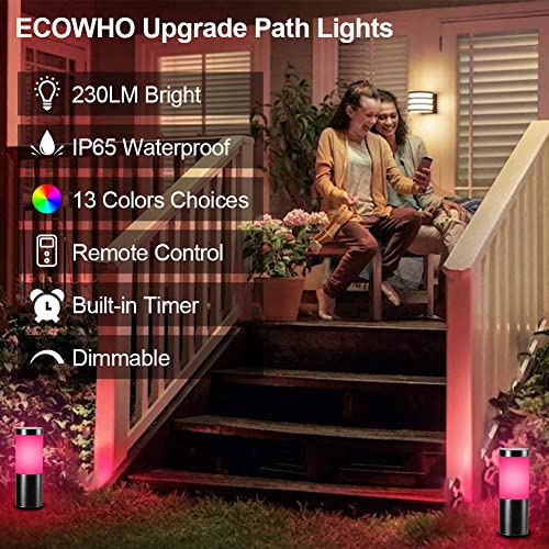 ECOWHO RGB Holiday Pathway Lights Outdoor LED Landscape Lighting Color Changing Path Lights IP65 Waterproof Garden Low Voltage Landscape Lights for Yard, Patio, Driveway, Lawn(4 Packs)