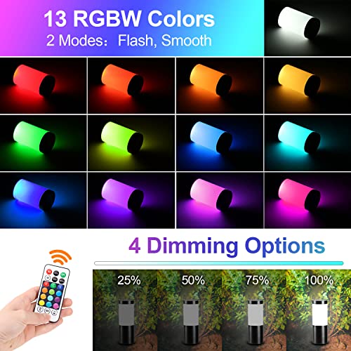 ECOWHO RGB Holiday Pathway Lights Outdoor LED Landscape Lighting Color Changing Path Lights IP65 Waterproof Garden Low Voltage Landscape Lights for Yard, Patio, Driveway, Lawn(4 Packs)
