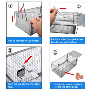 Gingbau Humane Rat Trap Live Chipmunk Mouse Cage Trap for Indoors and Outdoors