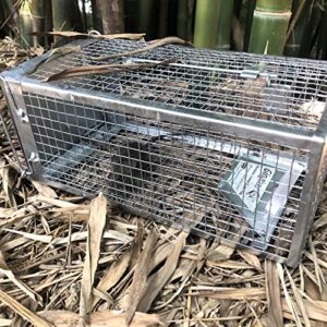 Gingbau Humane Rat Trap Live Chipmunk Mouse Cage Trap for Indoors and Outdoors