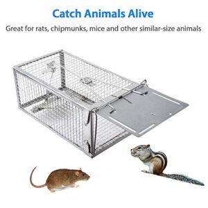 Gingbau Humane Rat Trap Live Chipmunk Mouse Cage Trap for Indoors and Outdoors