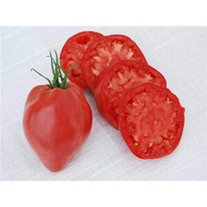 hungarian heart tomato seeds (20 seed pack)