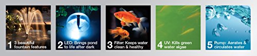 Pennington Aquagarden , Inpond 5 in 1, Pond & Water Pump, Filter, UV Clarifier, LED Spotlight and Fountain , All in One solution for a Clean, Clear and Beautiful pond , For Ponds up to 200 Gallons