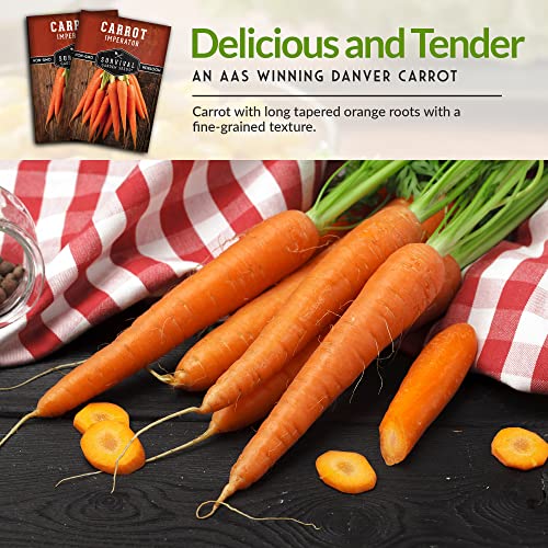 Survival Garden Seeds - Imperator 58 Carrot Seed for Planting - Packet with Instructions to Plant and Grow Award Winning Danvers Carrots in Your Home Vegetable Garden - Non-GMO Heirloom Variety