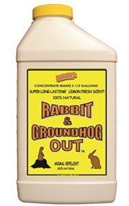 rabbit & groundhog repellent: rabbit out 32oz concentrate