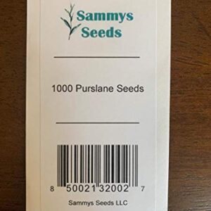 1000 Purslane Seeds Green | Non-GMO | Fresh Garden Seeds