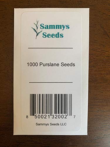 1000 Purslane Seeds Green | Non-GMO | Fresh Garden Seeds