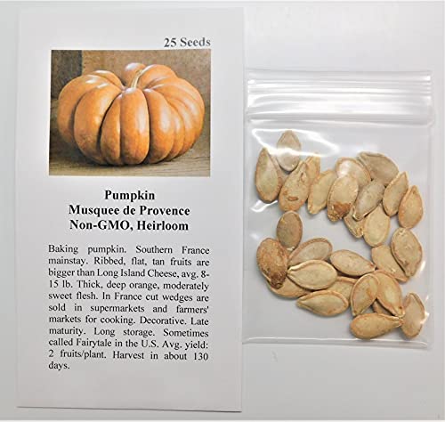 David's Garden Seeds Pumpkin Musquee de Provence FBA-2621 (Orange) 25 Non-GMO, Heirloom Seeds