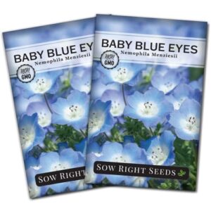 Sow Right Seeds - Baby Blue Eyes Flower Seeds for Planting - Beautiful to Plant in Your Home Garden - Indoors or Outdoors - Non-GMO Heirloom Seeds - Attract Pollinators - Great Gardening Gifts (2)