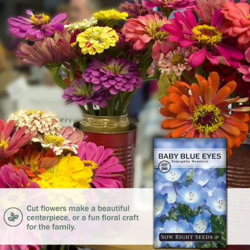 Sow Right Seeds - Baby Blue Eyes Flower Seeds for Planting - Beautiful to Plant in Your Home Garden - Indoors or Outdoors - Non-GMO Heirloom Seeds - Attract Pollinators - Great Gardening Gifts (2)