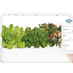 Click and Grow Smart Garden 9 PRO w/Bluetooth | App and Touch Controlled Indoor Garden | Easier Than a Hydroponics Growing System | Herb & Vegetable Garden Starter Kit w/ 9 Plant Pods