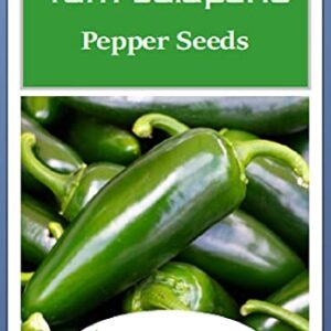 Instant Latch 100 Tam Jalapeno Pepper Seeds | Non-GMO | Fresh Garden Seeds