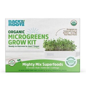 back to the roots 43002 organic microgreens grow kit with ceramic planter
