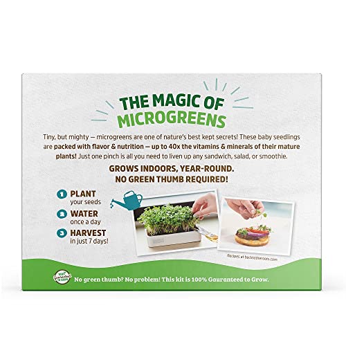 Back to the Roots 43002 Organic Microgreens Grow Kit with Ceramic Planter