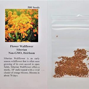 David's Garden Seeds Flower WallFlower Siberian FBA-2283 (Multi) 200 Non-GMO, Heirloom Seeds