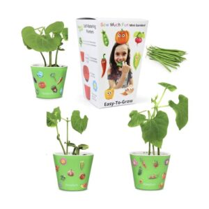 window garden bean sow much fun seed starting, vegetable planting and growing kit for kids, 3 self watering planters, soil, seeds and puffy stickers. no mess, easy, works great!