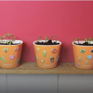 Window Garden Bean Sow Much Fun Seed Starting, Vegetable Planting and Growing Kit for Kids, 3 Self Watering Planters, Soil, Seeds and Puffy Stickers. No Mess, Easy, Works Great!