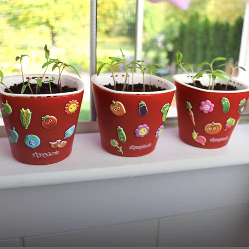 Window Garden Bean Sow Much Fun Seed Starting, Vegetable Planting and Growing Kit for Kids, 3 Self Watering Planters, Soil, Seeds and Puffy Stickers. No Mess, Easy, Works Great!