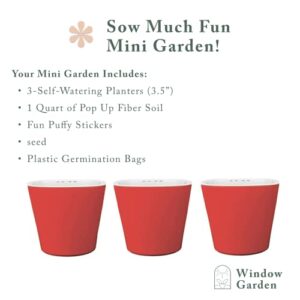 Window Garden Bean Sow Much Fun Seed Starting, Vegetable Planting and Growing Kit for Kids, 3 Self Watering Planters, Soil, Seeds and Puffy Stickers. No Mess, Easy, Works Great!