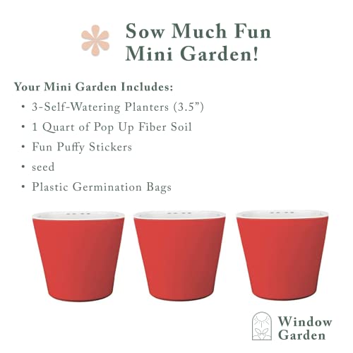 Window Garden Bean Sow Much Fun Seed Starting, Vegetable Planting and Growing Kit for Kids, 3 Self Watering Planters, Soil, Seeds and Puffy Stickers. No Mess, Easy, Works Great!