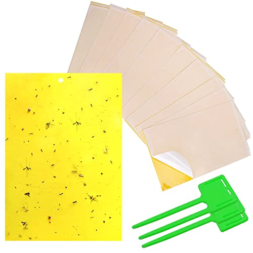 Gingbau 30-Pack Yellow Sticky Traps for Flying Plant Insects Like Fungus Gnats, Whiteflies, Aphids, Leafminers (Twist Ties Included)