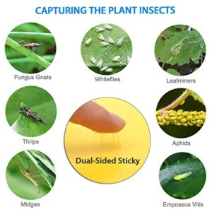 Gingbau 30-Pack Yellow Sticky Traps for Flying Plant Insects Like Fungus Gnats, Whiteflies, Aphids, Leafminers (Twist Ties Included)