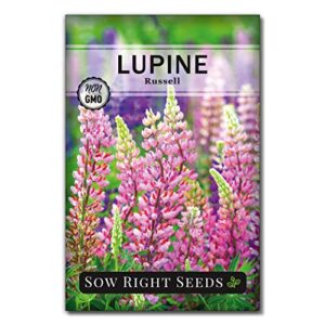 sow right seeds – russell lupine seeds to plant – full instructions for planting and growing a perennial flower garden; non-gmo heirloom seeds; wonderful gardening gift (1)