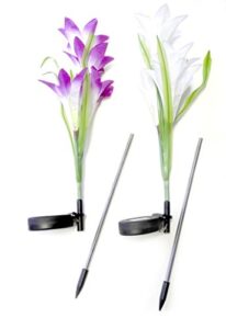 outdoor solar flower garden stake lights (2 pack) garden lilly flowers multi color led light changing white and purple indoor-outdoor